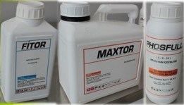 maxtor1